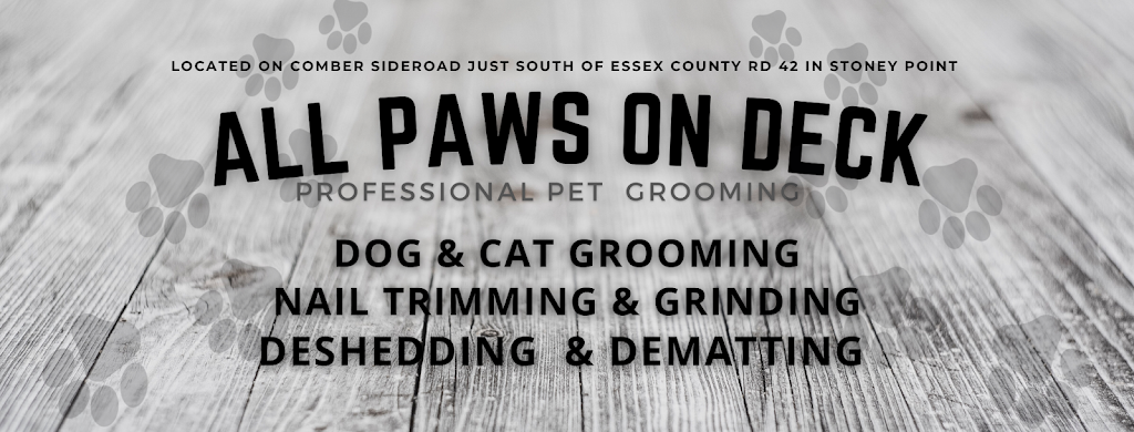 All Paws On Deck | 3750 Comber Sideroad, Lakeshore, ON N0R 1N0, Canada | Phone: (519) 919-2748