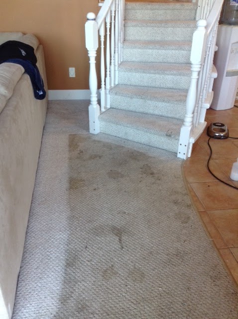 Surrey Langley Carpet Cleaning | 13923 Malabar Ave, White Rock, BC V4B 2Y1, Canada | Phone: (778) 829-4557