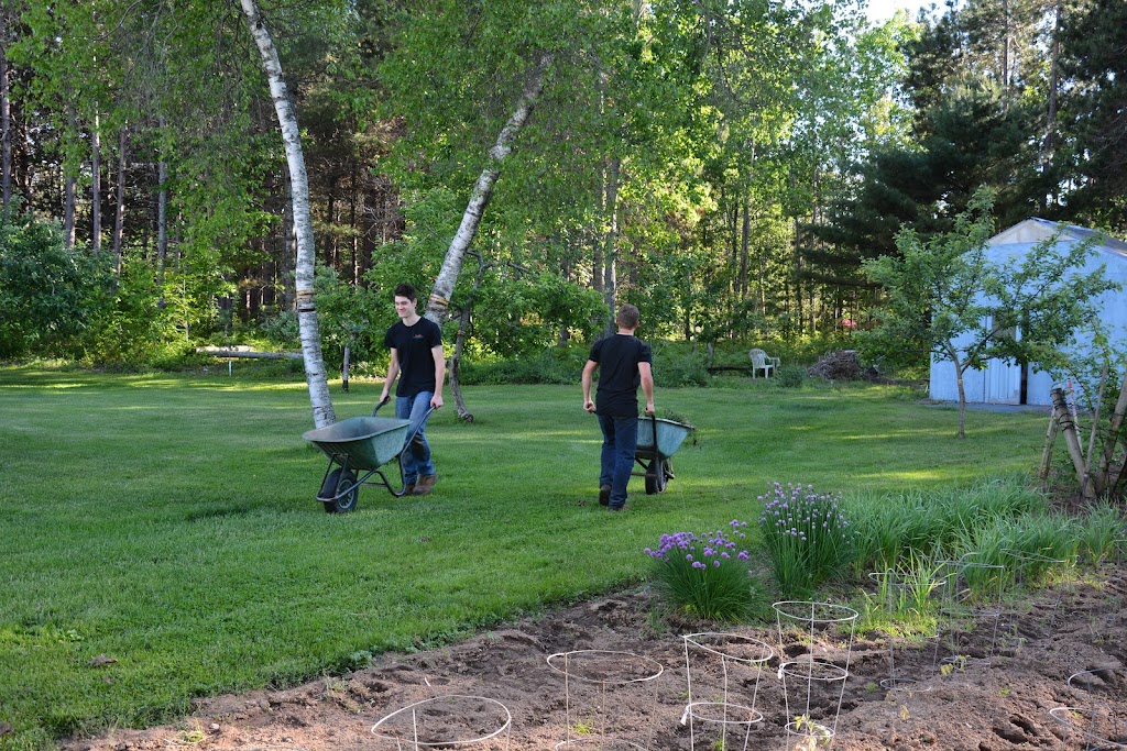 Rooted Landscaping and Tree Removal | 7096 Nova Scotia Trunk 1, Coldbrook, NS B4R 1C1, Canada | Phone: (902) 670-7104