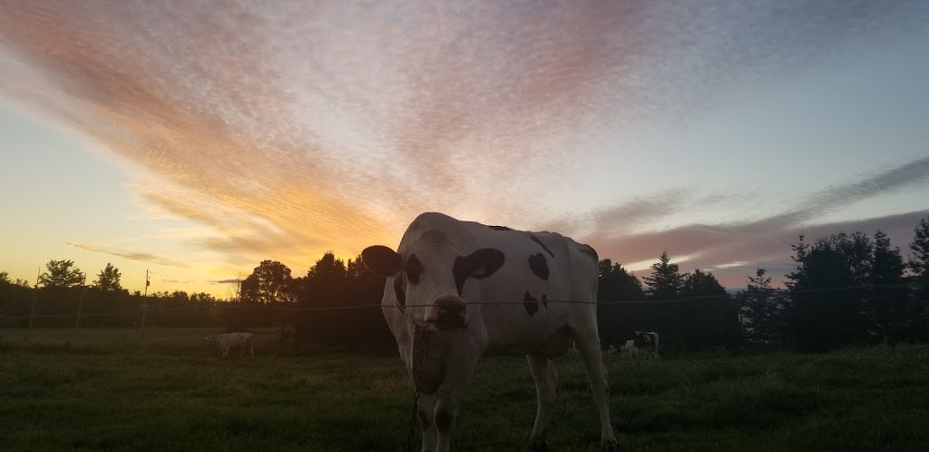 Ferme Juste"O"Lait | 2336 principale, Saint-Édouard, QC G0S 1Y0, Canada | Phone: (581) 999-2287