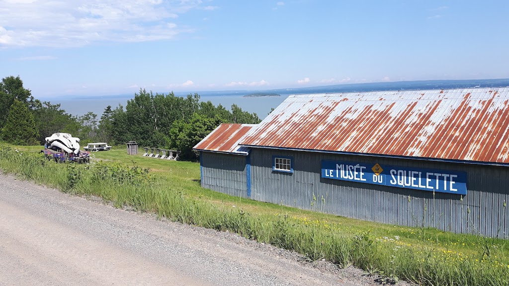 Musée du Squelette | 30-40 Chem. de lÎle, LIsle-Verte, QC G0L 1L0, Canada | Phone: (418) 898-4055