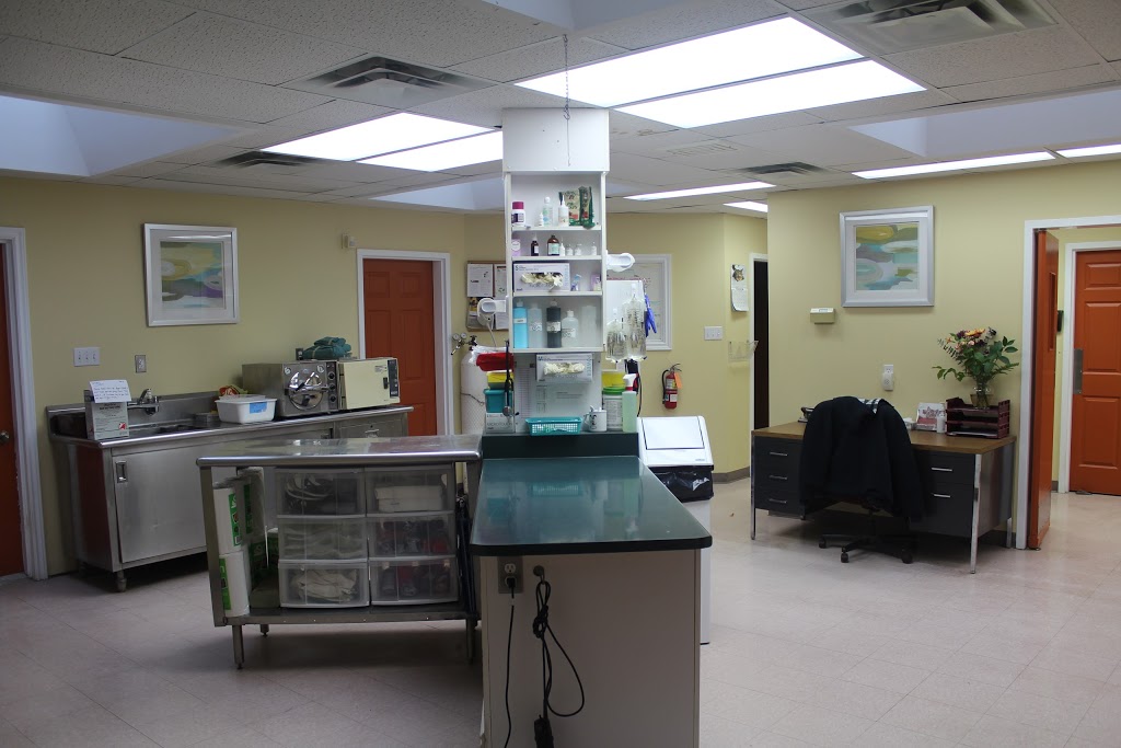 Picton Animal Hospital | 19 MacSteven Dr, Picton, ON K0K 2T0, Canada | Phone: (613) 476-6332