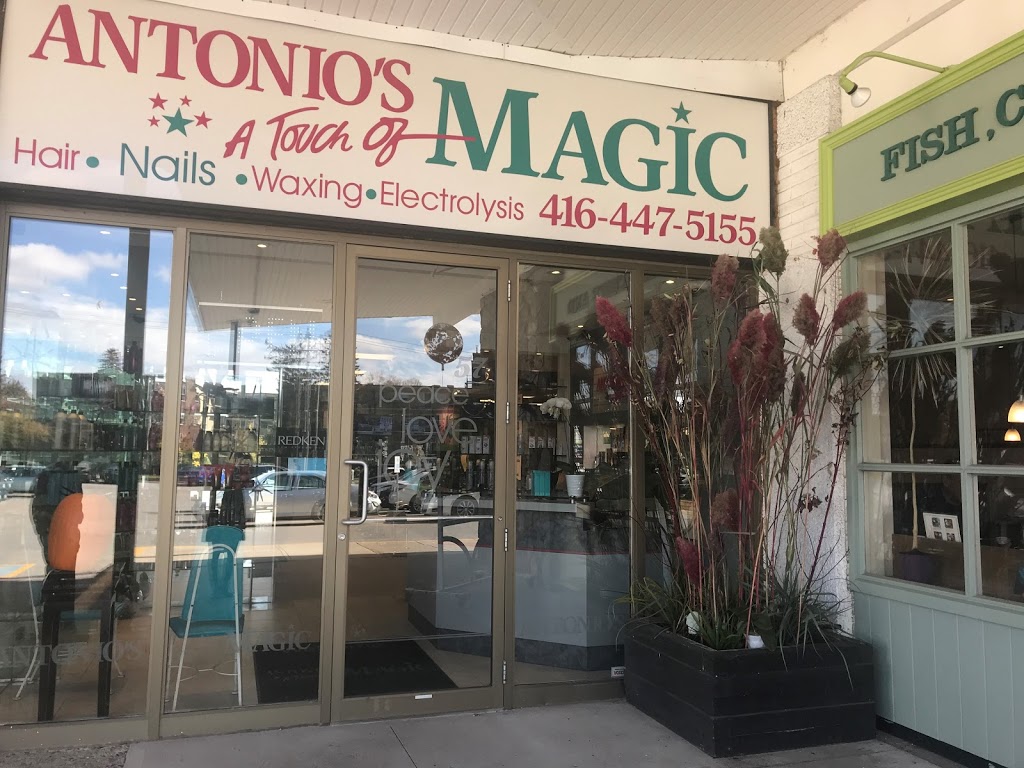 Antonios A Touch of Magic | 57 Underhill Dr, North York, ON M3A 2J8, Canada | Phone: (416) 447-5155